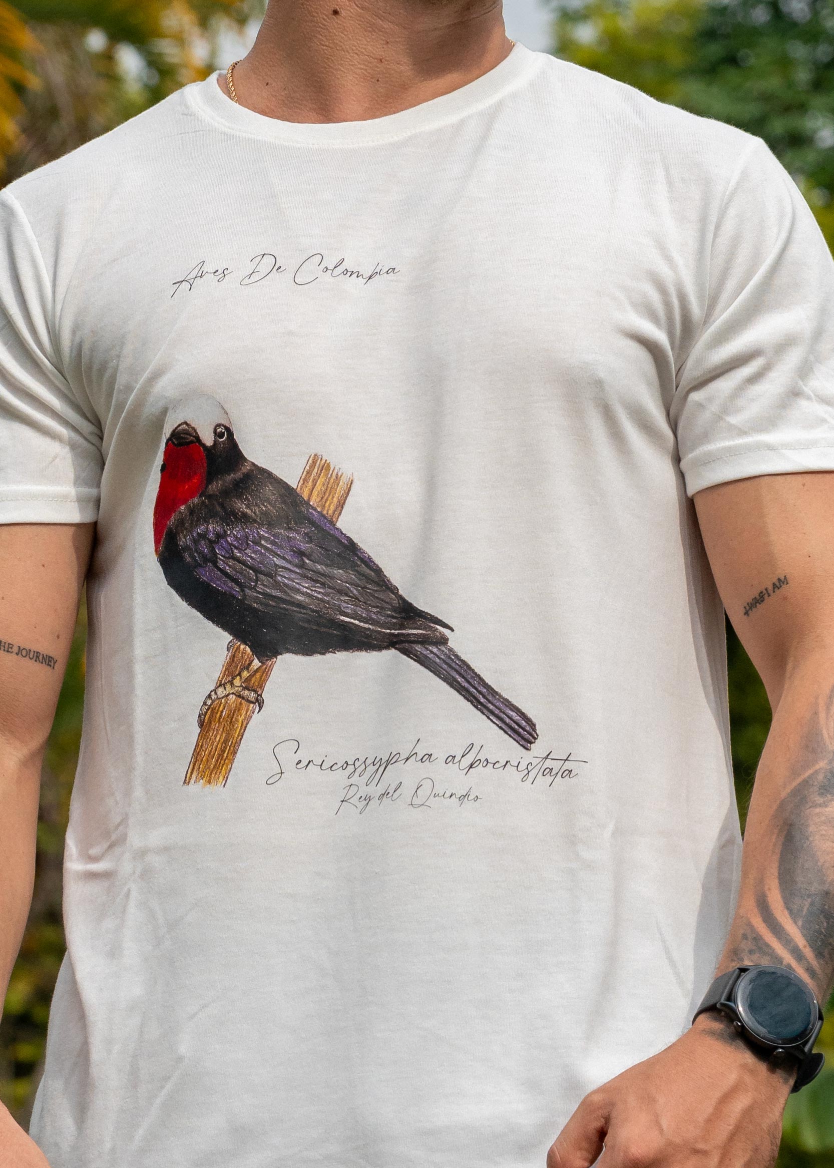 02-Camiseta 02-Camiseta