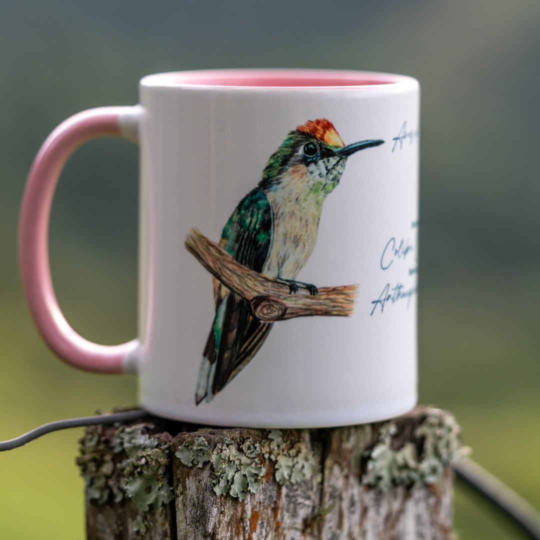 vaso 01 vaso 01